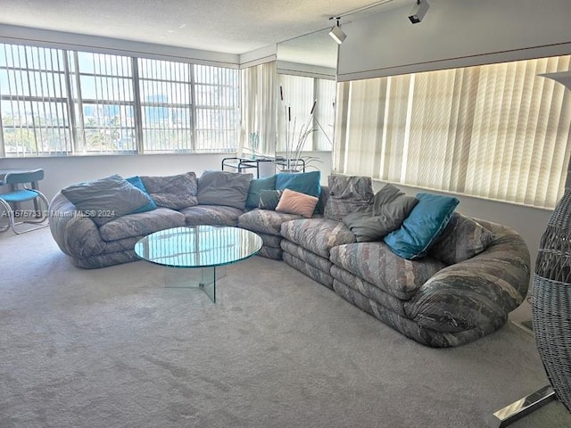 living room with a textured ceiling, carpet floors, and rail lighting