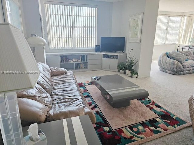 view of carpeted living room