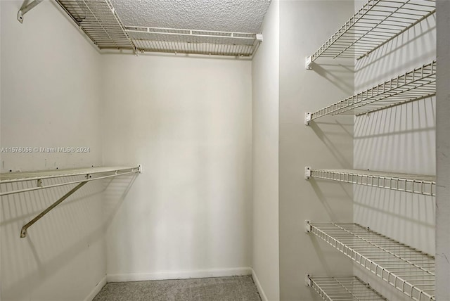 spacious closet with carpet flooring