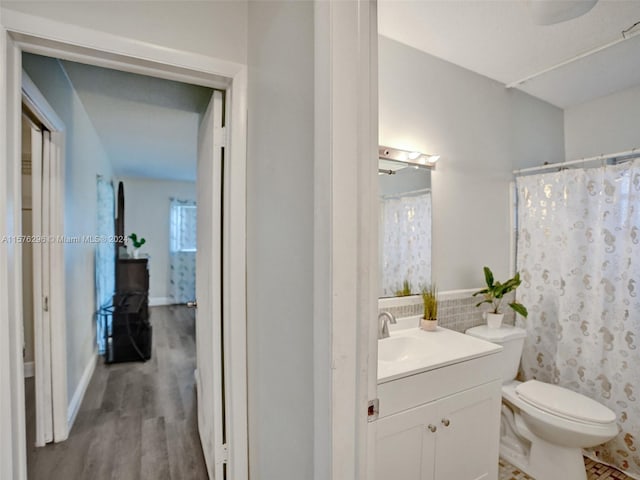 bathroom with hardwood / wood-style floors, vanity with extensive cabinet space, and toilet