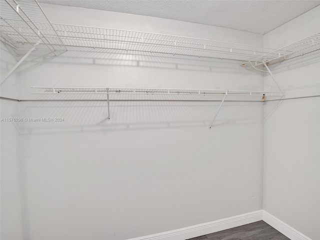 spacious closet featuring hardwood / wood-style flooring