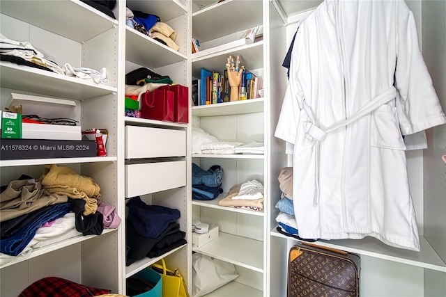 view of walk in closet