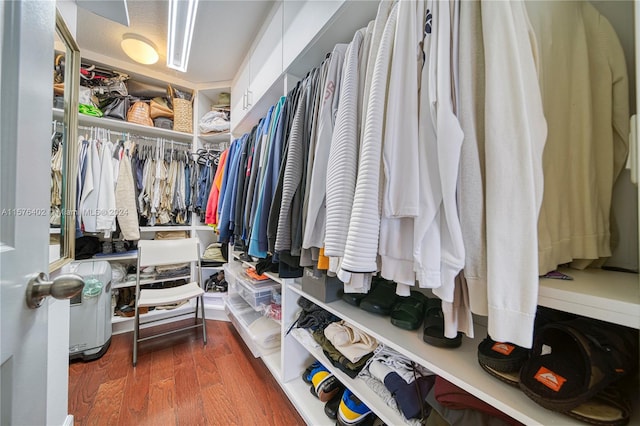 spacious closet with dark hardwood / wood-style floors