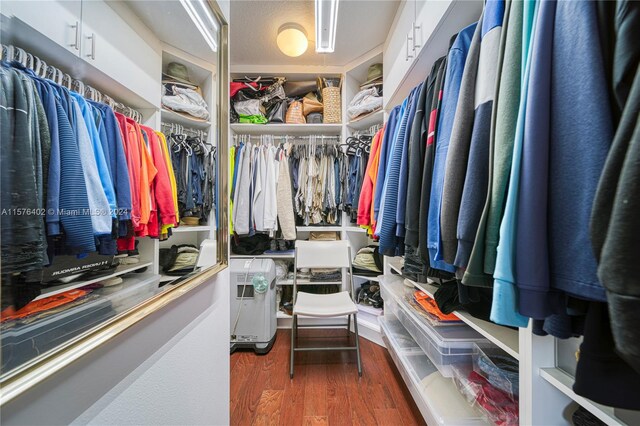 walk in closet featuring dark wood-type flooring