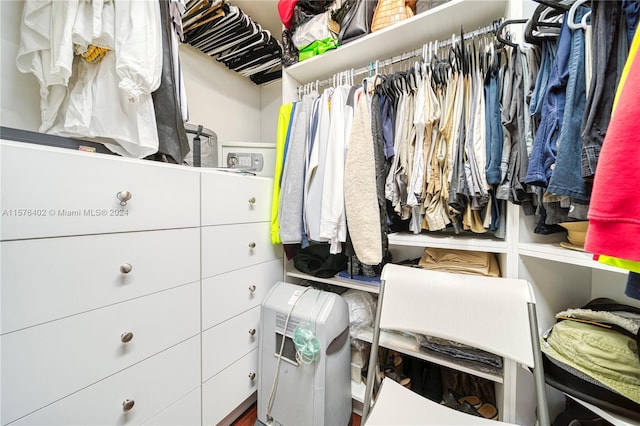 view of spacious closet