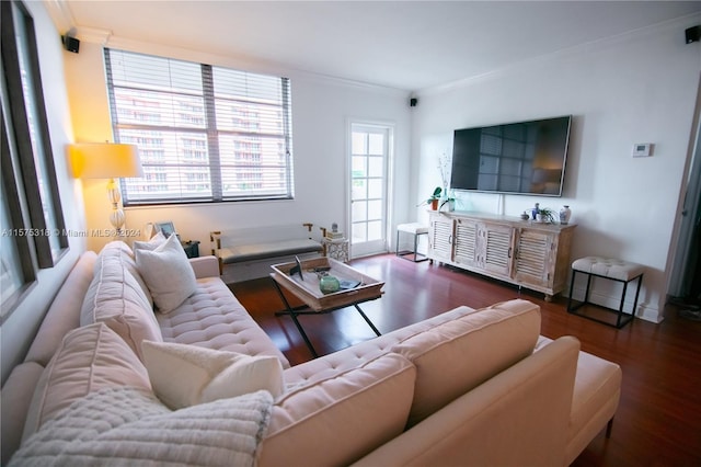 living room featuring ornamental molding and wood-type flooring