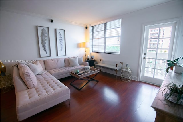 living room featuring ornamental molding and dark hardwood / wood-style flooring