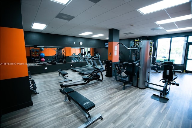 exercise room featuring hardwood / wood-style flooring and a drop ceiling