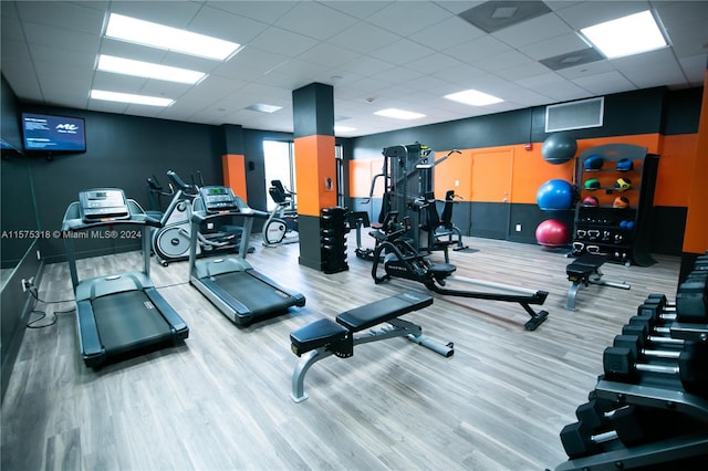 gym featuring a paneled ceiling and hardwood / wood-style floors