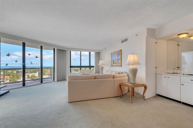 living room featuring a wall of windows, a textured ceiling, and light colored carpet