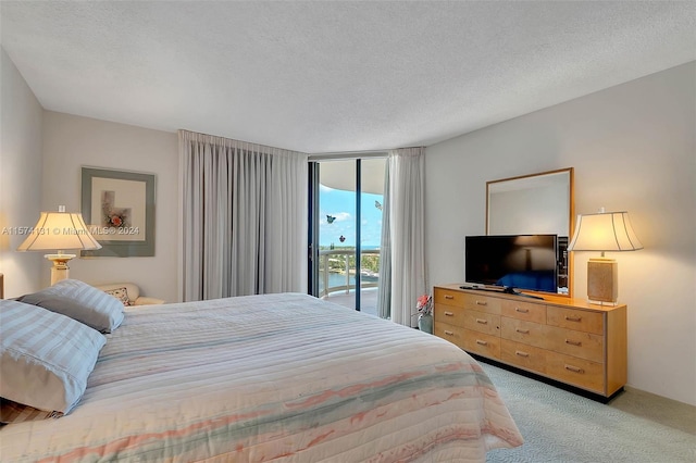 bedroom with light carpet, a textured ceiling, and access to exterior