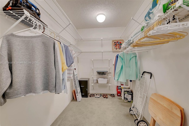 spacious closet with carpet floors