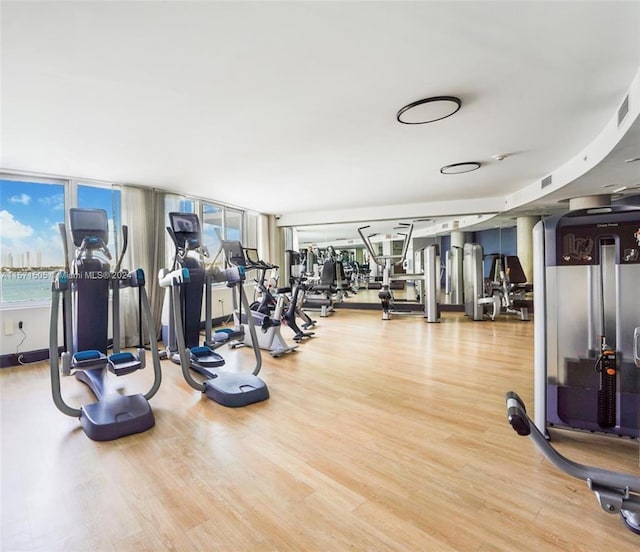 gym featuring hardwood / wood-style flooring and floor to ceiling windows