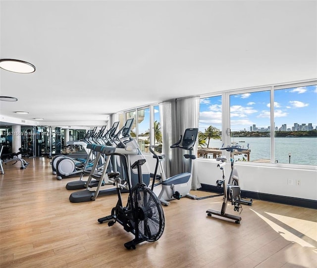 workout area with light hardwood / wood-style flooring and a water view