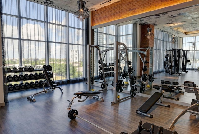 workout area featuring dark hardwood / wood-style flooring, a high ceiling, and expansive windows