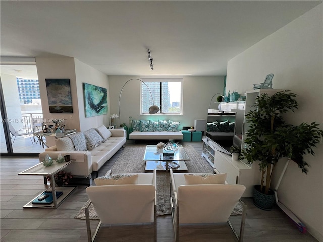 living room featuring hardwood / wood-style floors