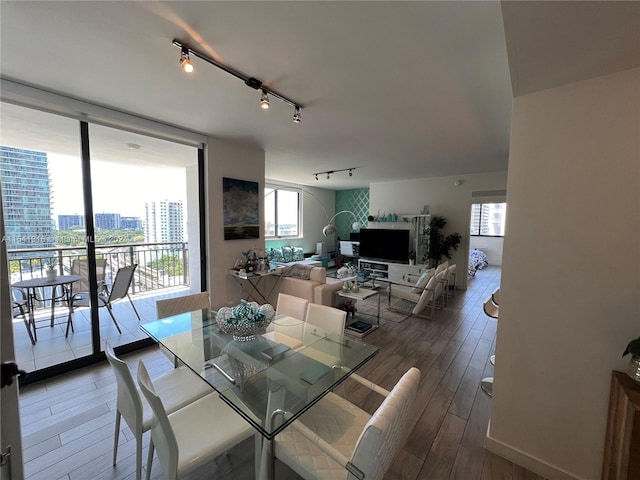 dining space featuring hardwood / wood-style flooring and track lighting