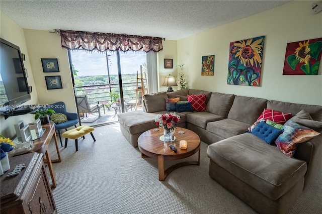 living room featuring carpet and a textured ceiling