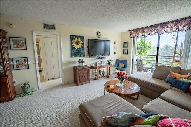 living room featuring a textured ceiling and carpet flooring