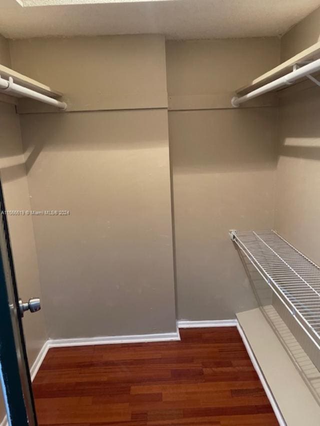 spacious closet featuring dark hardwood / wood-style floors