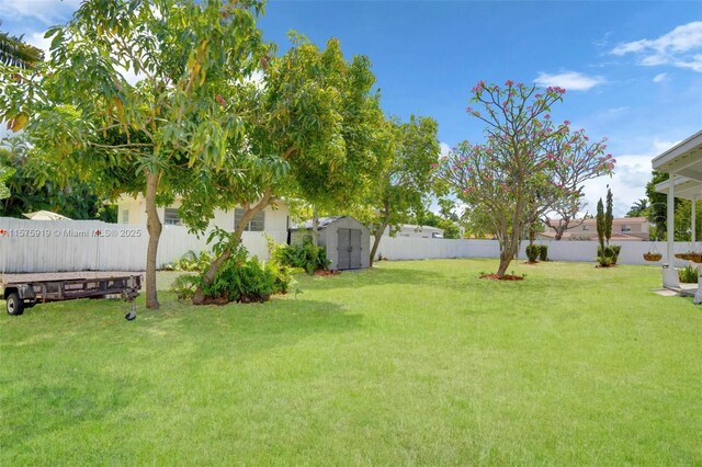 view of yard with a storage unit