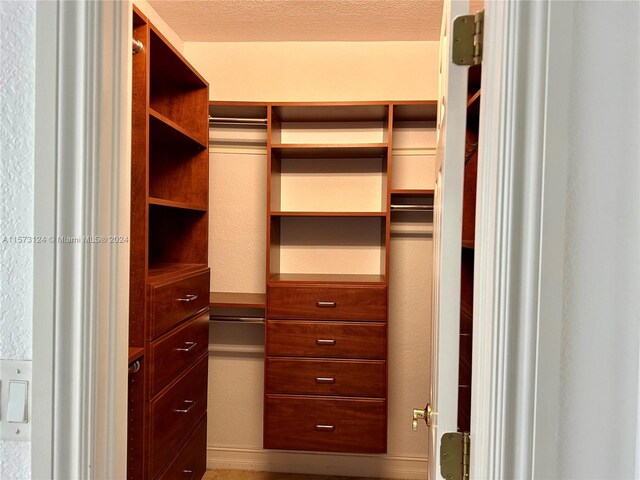 view of spacious closet