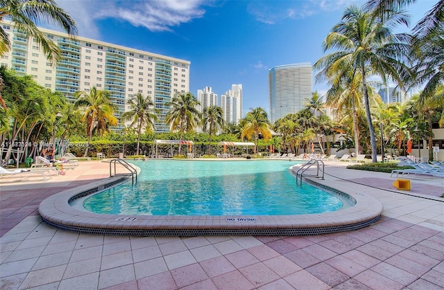 view of swimming pool featuring a patio