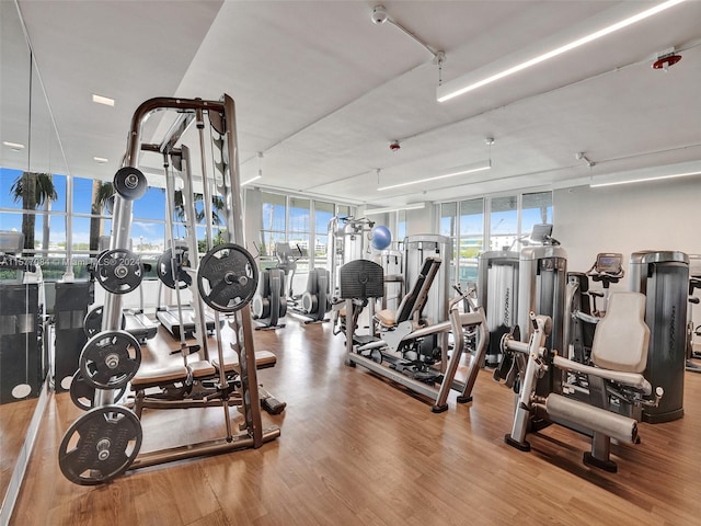 workout area featuring light wood-type flooring and floor to ceiling windows