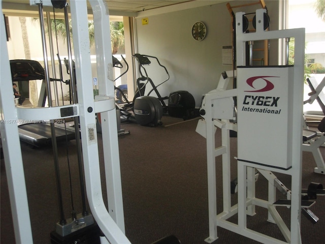 exercise room with carpet flooring