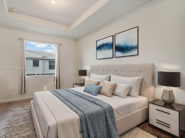 bedroom featuring a tray ceiling