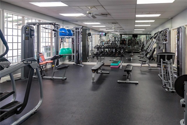 exercise room featuring a paneled ceiling and ceiling fan