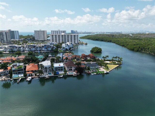 bird's eye view with a water view