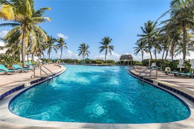 view of swimming pool