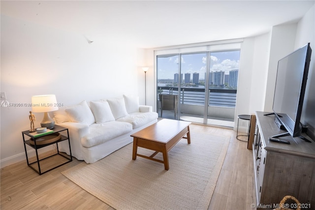 living room featuring expansive windows and light wood-type flooring