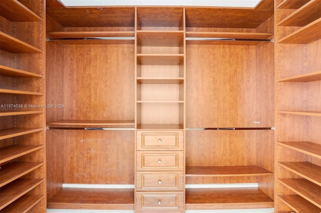 view of spacious closet