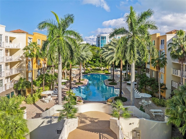 view of pool featuring a patio