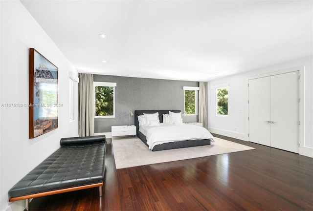 bedroom featuring wood-type flooring and a closet