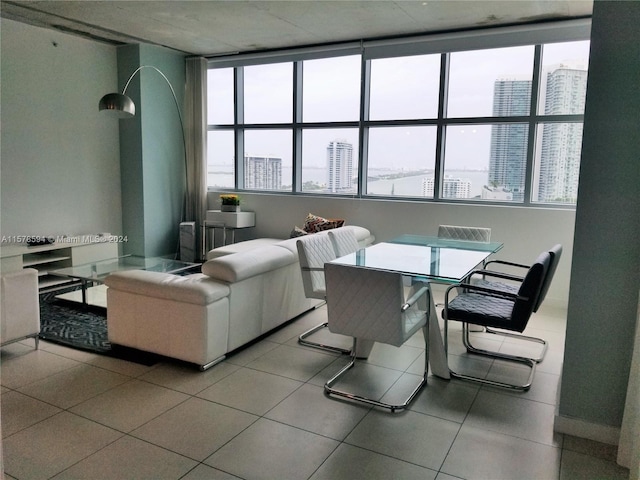 tiled living room with a wealth of natural light