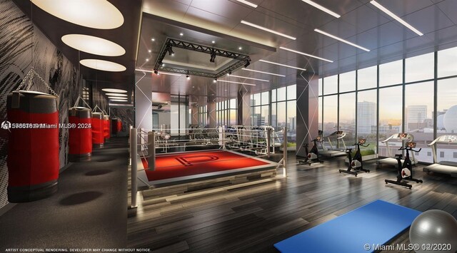 exercise room featuring hardwood / wood-style floors