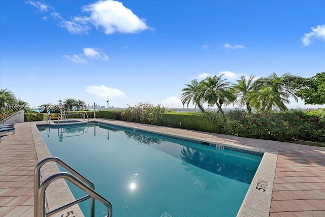 view of pool with a patio area