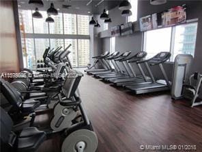 exercise room with a healthy amount of sunlight and dark hardwood / wood-style floors