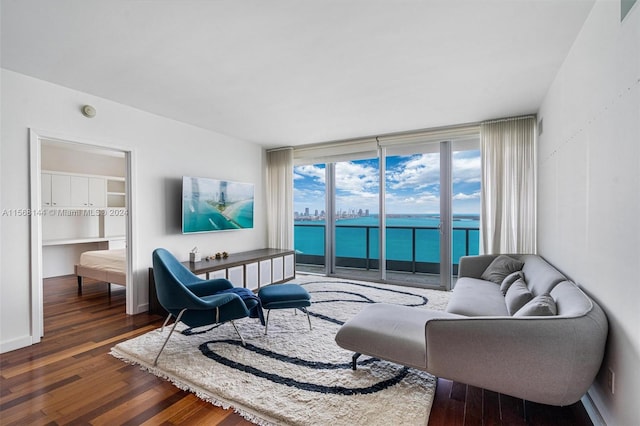 living room featuring a water view and dark hardwood / wood-style flooring