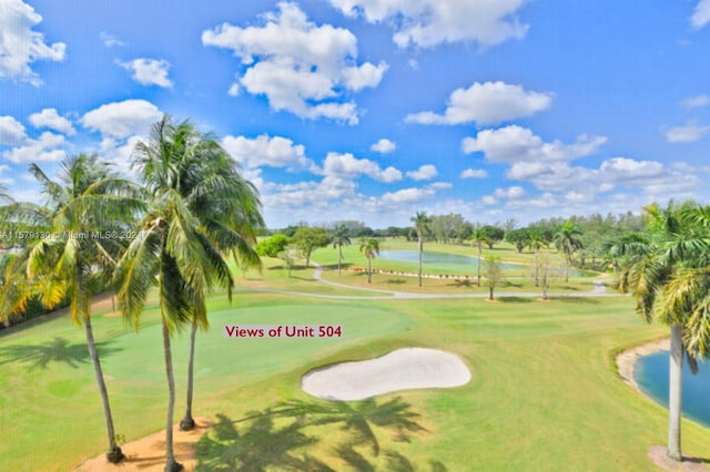 view of community featuring a lawn