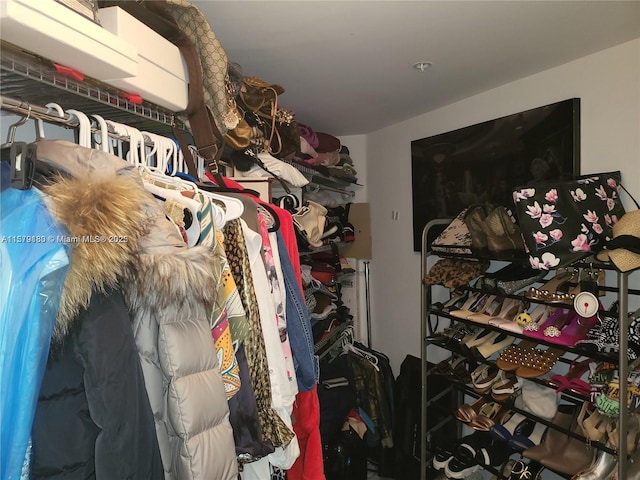 view of spacious closet