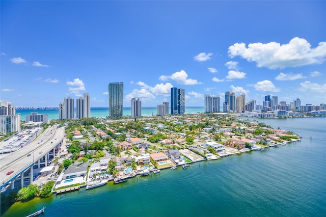 aerial view with a water view