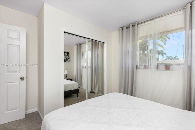 bedroom with a closet and carpet floors