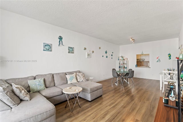 living room featuring a textured ceiling and wood-type flooring