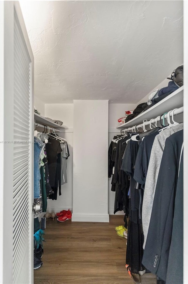 walk in closet featuring wood-type flooring