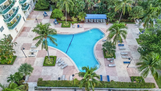 view of pool with a patio area