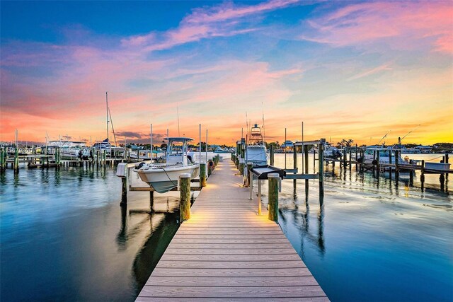 dock area with a water view